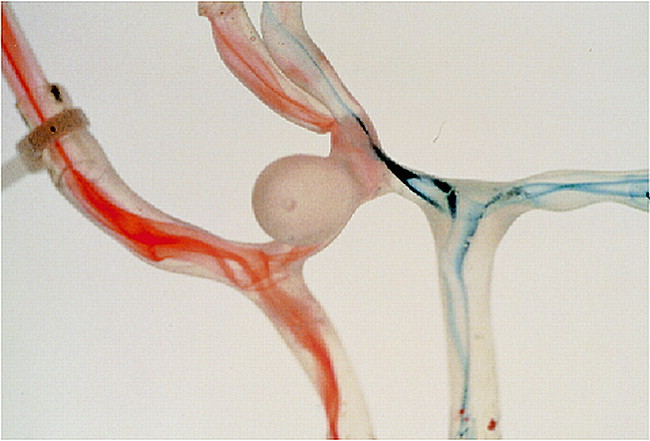 fig 2.