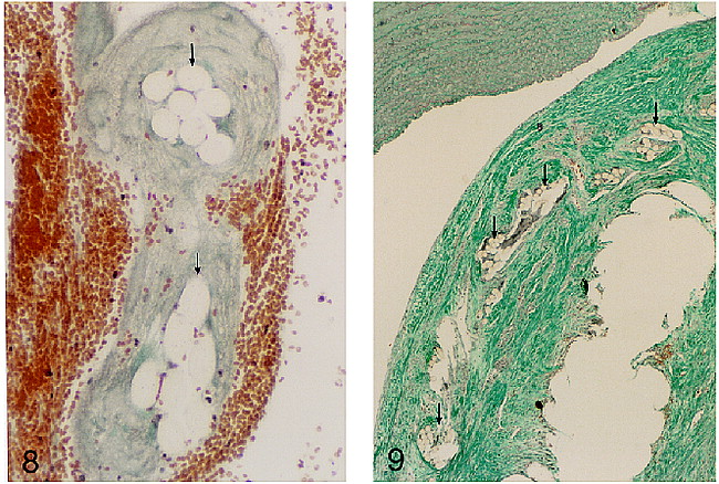 fig 8.