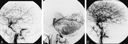fig 1.