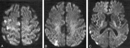 Fig 1.