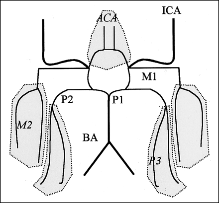 Fig 2.
