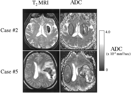 Fig 1.