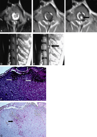 Fig 3.