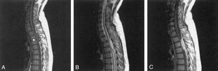 Fig 2.