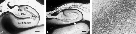 Fig 1.