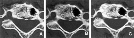 Fig 1.