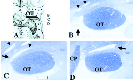 Fig 4.