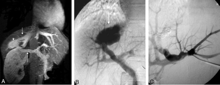 Fig 3.