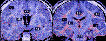 Fig 3.
