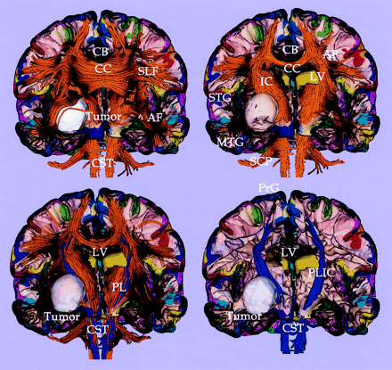 Fig 8.