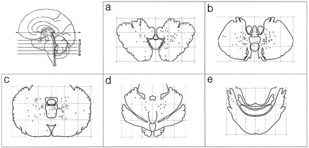 Fig 2.
