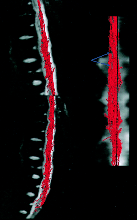 Fig 4.