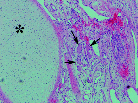Fig 3.