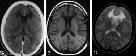 Fig 1.