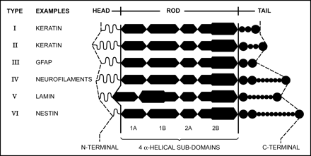 Fig 2.