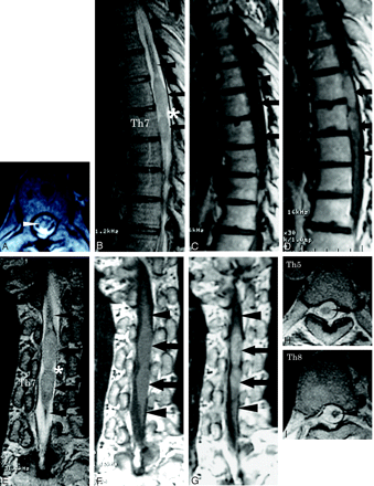 Fig 1.