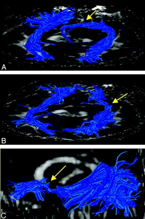 Fig 7.