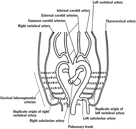 Fig 3.