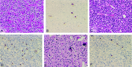Fig 2.