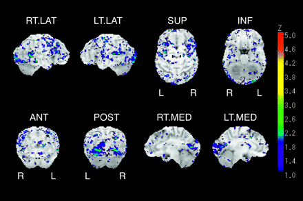 Fig 2.