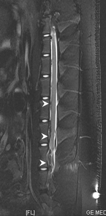 Fig 1.