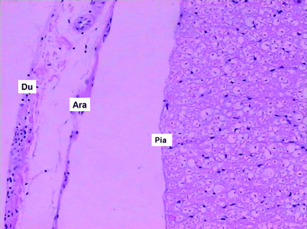 Fig 4.