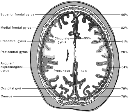 Fig 1.