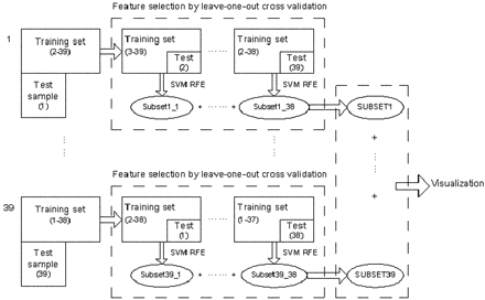 Fig 2.