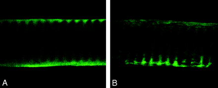Fig 3.