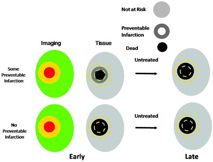 Fig 4.