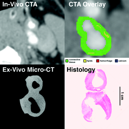 Fig 2.