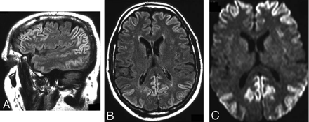 Fig 3.