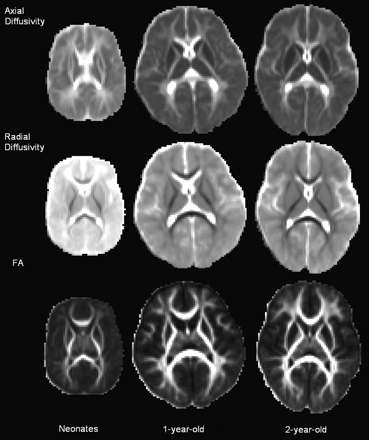 Fig 1.