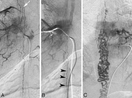 Fig 6.