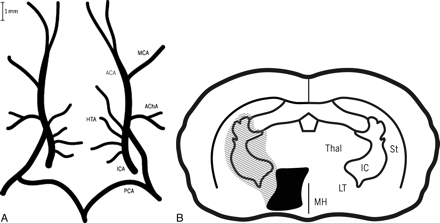 Fig 1.