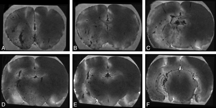 Fig 4.