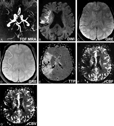 Fig 1.
