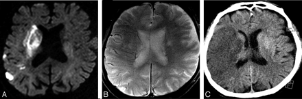 Fig 2.
