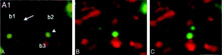 Fig 5.