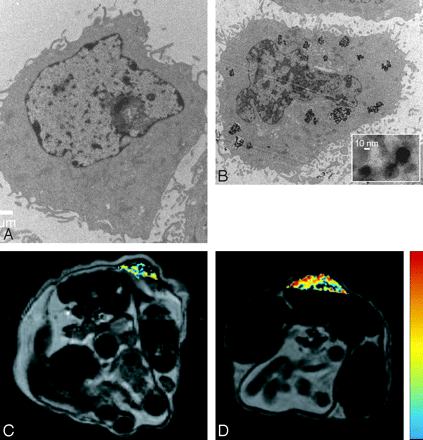 Fig 6.