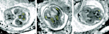 Fig 1.