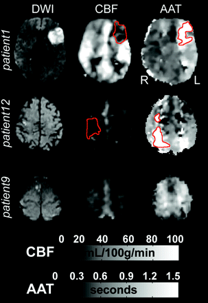 Fig 1.