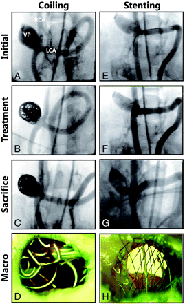 Fig 3.