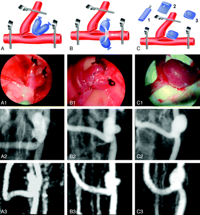 Fig 1.