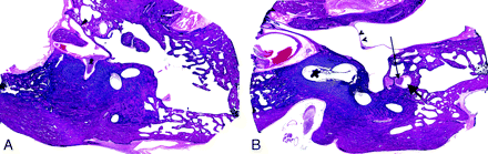 Fig 2.