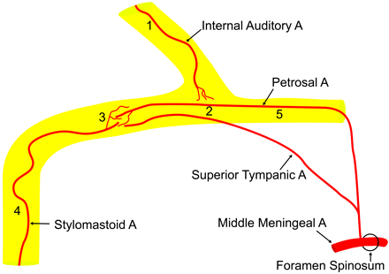 Fig 3.