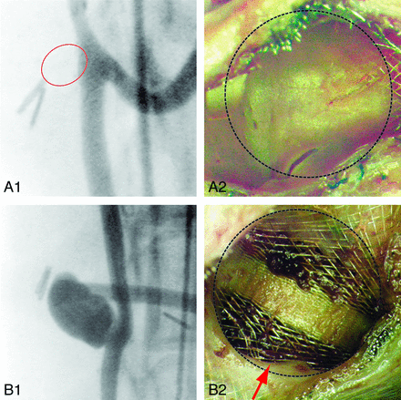Fig 3.