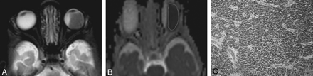 Fig 1.