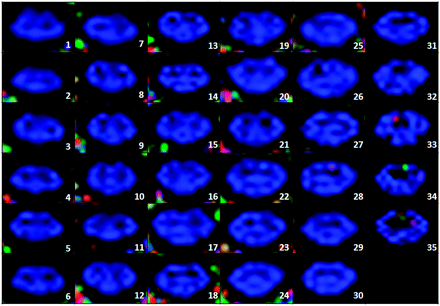 Fig 5.