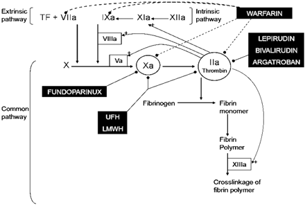 Fig 1.